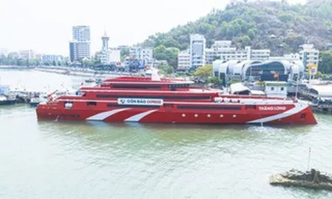 Tàu cao tốc Thăng Long tăng gấp đôi chuyến, giảm giá vé chặng Vũng Tàu - Côn Đảo