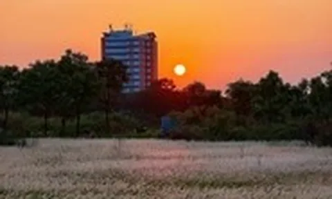 Đồng cỏ thơ mộng tại làng đại học hút khách 'săn' hoàng hôn, check-in