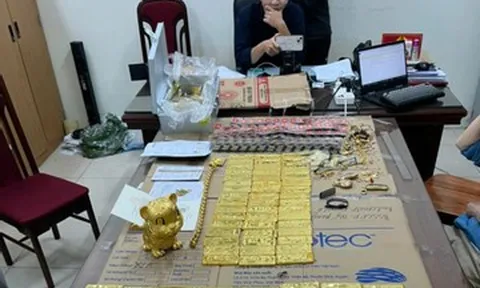 Phó Đức Nam lừa đảo chiếm đoạt hơn 1.301 tỷ đồng, bố mẹ tiếp tay tẩu tán tài sản