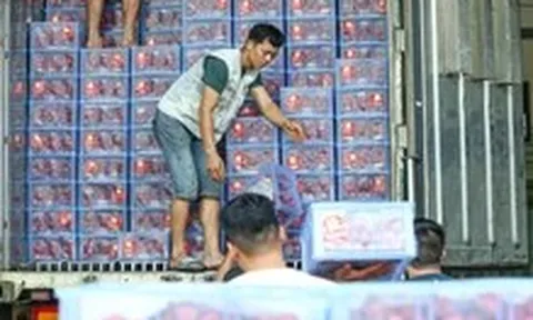 Chính phủ đồng ý kéo dài thời hạn tạm ngưng Nghị định 46