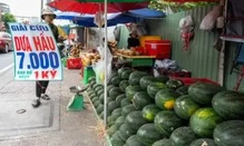 Cam sành, dưa hấu, thanh long, xoài... rớt giá thê thảm, điểm bán đổ thành đống