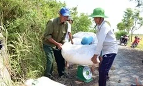 Cần giải pháp giảm 'giải cứu' nông sản