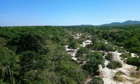 Làm rõ nguyên nhân giảm hơn 17.700 ha rừng tự nhiên ở Lâm Đồng