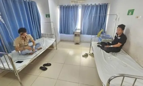 Diễn biến mới vụ vừa nhai món vếch bò um cà đắng, 3 người nhập viện cấp cứu