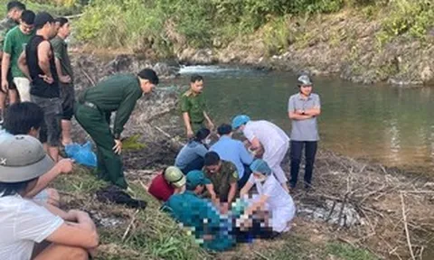 2 nữ sinh lớp 9 ở Đà Nẵng tử vong thương tâm