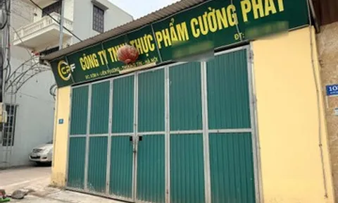 Camera giăng kín 'căn bếp' cung cấp thịt lợn nhiễm bệnh vào trường học ở Hà Nội