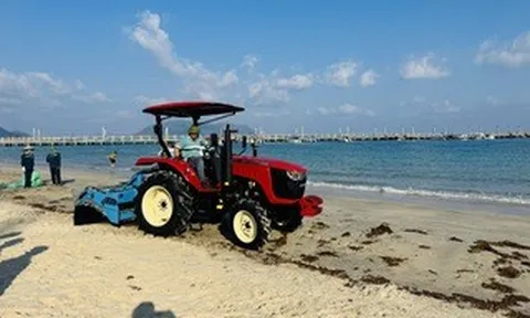 Côn Đảo lần đầu có máy sàng cát vệ sinh bãi biển