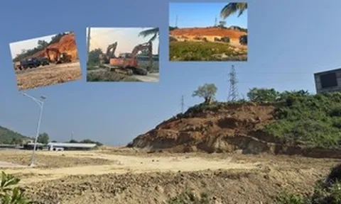 Cam kết chỉ trồng cây nhưng cạo sạch cả quả đồi ở Khánh Hòa