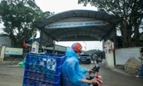 Cận cảnh lò mổ Vạn Phúc, nơi cho 'ra lò' 300 tấn thịt heo bệnh tuồn ra chợ, bếp ăn trường học