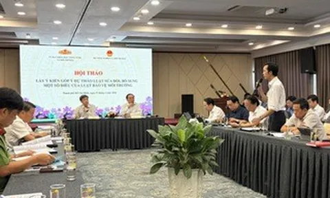 Không nhập khẩu tàu biển đã qua sử dụng để tái chế