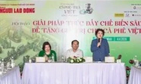 Vì sao cà phê Việt có ngon đến '9 tầng mây' cũng gặp khó trong xuất khẩu?