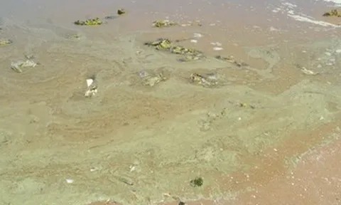 Clip nước biển Bãi Sau Vũng Tàu xanh như matcha, nhiều người e dè không dám tắm