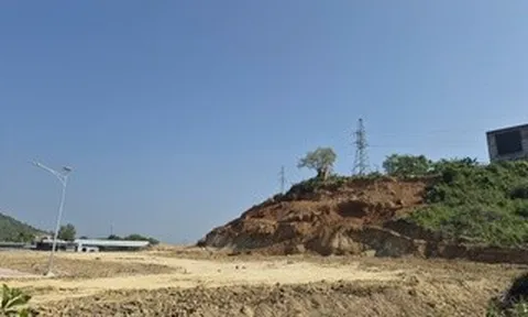 Vụ “cạo sạch cả quả đồi” ở Khánh Hòa: Xác minh có hay không việc bao che, tiếp tay