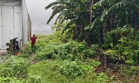 Yêu cầu xã giải quyết vụ lô đất trúng đấu giá 18 năm không có trên thực địa