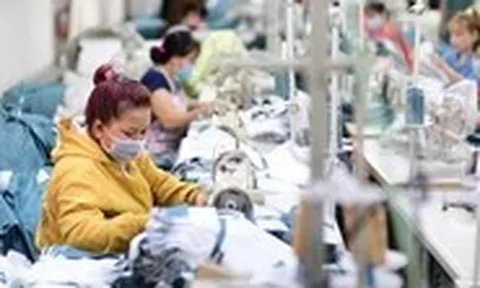 Doanh nghiệp đầu tư công nghệ để vượt 'bão'