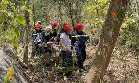 Đi bộ hơn 2 km đường rừng, giải cứu nữ du khách Trung Quốc gặp nạn trên Núi Dinh