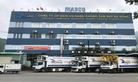 Lợi nhuận doanh nghiệp ngành hàng không giảm một phần vì thay đổi thi sát hạch lái xe