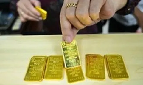 Vay 5.833 lượng vàng SJC từ lúc chỉ 17 triệu/lượng, một công ty TP.HCM nay ‘vỡ trận’