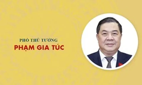 Infographic: Sự nghiệp Phó Thủ tướng Phạm Gia Túc