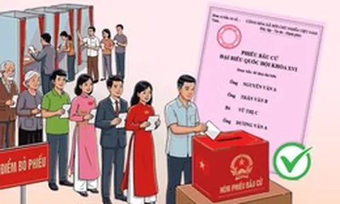 Bầu cử Quốc hội và HĐND: Những phiếu bầu cử nào là phiếu không hợp lệ?