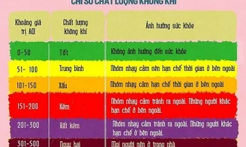 Chỉ số chất lượng không khí là gì? Ảnh hưởng của ô nhiễm không khí đến sức khỏe con người