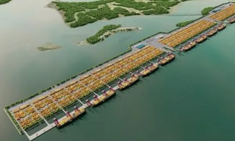 Hãng tàu lớn nhất thế giới nộp hồ sơ vào liên danh làm siêu cảng Cần Giờ 5 tỷ USD