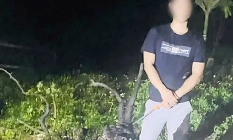 Bắt quả tang nam thanh niên khai thác trái phép 6 cây muội hồng ở Ninh Bình