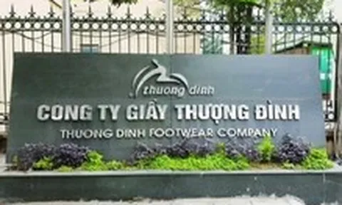 Công ty 6 tháng tuổi liên quan Vinaconex 'nhảy' vào Giày Thượng Đình