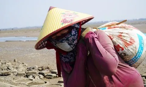 Những người phụ nữ 'cõng' ốc dưới cái nắng gần 40 độ C ở ven biển Hà Tĩnh
