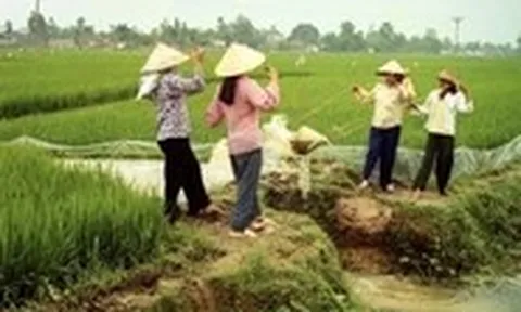 Chiếc gầu dây thương nhớ một thời trở lại phố phường