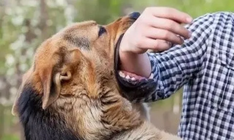 Chuyện khó tin: Cam kết "chết thì chịu", nhất quyết không tiêm vắc-xin phòng bệnh dại