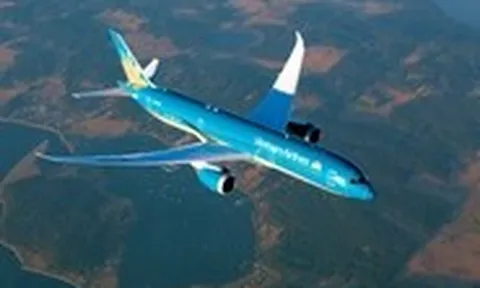Lợi nhuận Vietnam Airlines giảm sau kiểm toán, tiết lộ thu nhập tăng mạnh của lãnh đạo