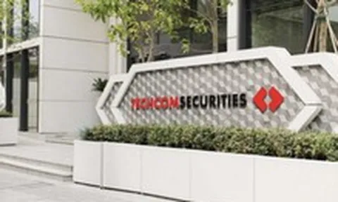 'Ông lớn' chứng khoán TCBS, VPS vào 'tầm ngắm' cơ quan thuế, đã nộp thuế ra sao?