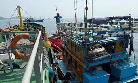 Tàu gặp nạn giữa biển, 12 người phát tín hiệu cầu cứu