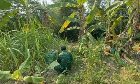 Những chiếc thùng ẩn khuất dưới gốc cây, hé lộ đường dây buôn lậu qua biên giới