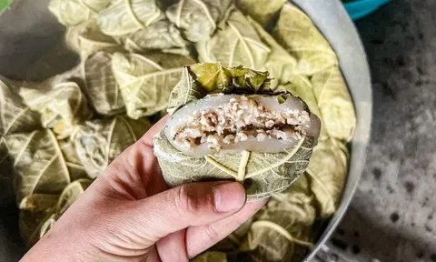 Bánh trứng kiến có gì mà gây 'sốt' mạng xã hội?