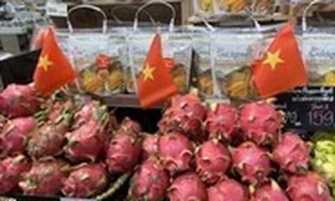 Ai là người làm thương hiệu cho nông sản Việt Nam?