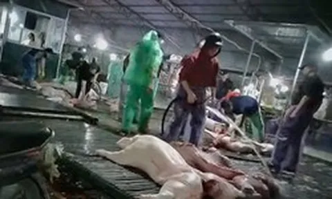 Hà Nội dự kiến lắp 100 camera AI tại lò mổ, chợ để kiểm tra an toàn thực phẩm