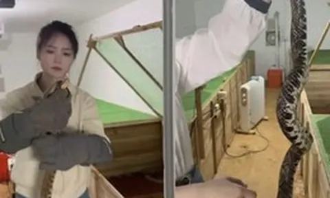 Bỏ phố về quê, cô gái 9x nuôi 60.000 con rắn: Doanh thu khiến nhiều người bất ngờ
