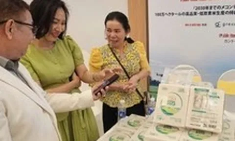 Cà Mau mời các tỉnh, thành Đồng bằng sông Cửu Long thi ‘gạo ngon’