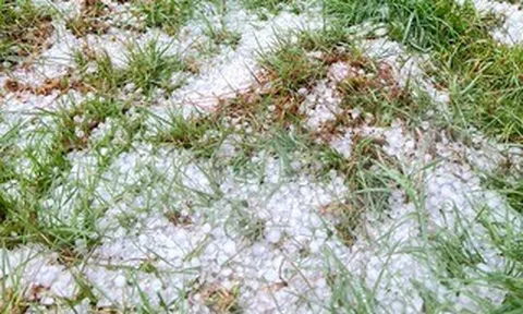 Mưa đá gây hại nặng nề, Phó Chủ tịch UBND tỉnh Quảng Ngãi tới hiện trường kiểm tra