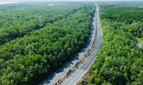 TPHCM: Dừng 7 dự án nhỏ lẻ để nghiên cứu mở rộng đường Rừng Sác lên 10 làn xe