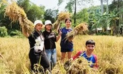 Học sinh học làm nông, bắt cá tại 'lớp học' giữa rừng Yang Bay