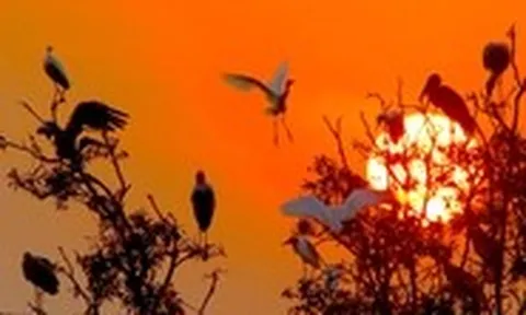 81 ảnh kể chuyện thiên nhiên Việt Nam trước biến đổi khí hậu