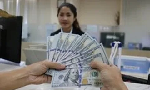 Kiều hối chuyển về TP.HCM bất ngờ đi xuống