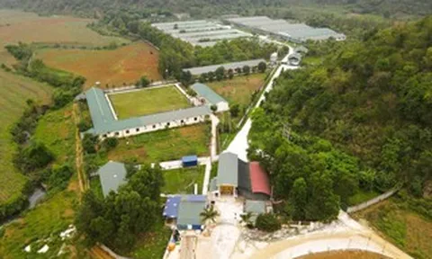 Thông tin mới liên quan vụ nước giếng khoan nhà dân đổi màu tím, bốc mùi hôi thối