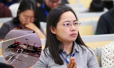 Học viên ở Hà Nội ‘mắt đỏ hoe' xem clip tình huống tai nạn trước khi thi bằng lái ô tô