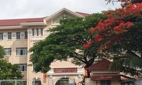 NÓNG: Nhiều trường học TPHCM cảnh báo khẩn lừa đảo suất "bao đậu", "tuyển thẳng" mùa tuyển sinh