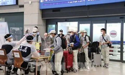 Lời khuyên cho những người sắp đi xuất khẩu lao động Hàn Quốc