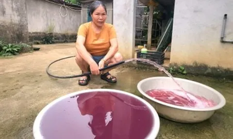 Vụ nước giếng màu tím: Công ty gây ô nhiễm phải tạm dừng hoạt động ngay